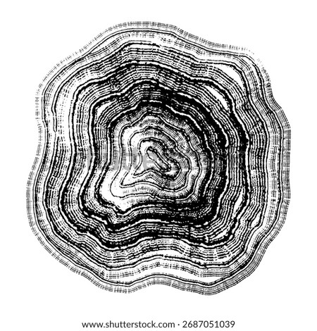 Wood grain. Cross section of tree stump slice with age rings. Grunge black and white wooden texture with concentric rings. Drawing tree rings pattern isolated on white background