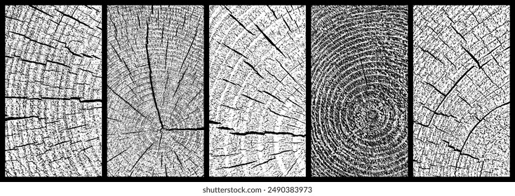 Conjunto de textura de madera en mal estado. Primer plano de madera. Corte transversal de anillos de árbol. Textura granulada negra sobre fondo blanco. Superposición de polvo con textura. Ilustración vectorial, EPS 10.