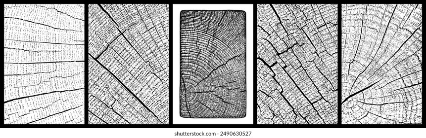 Conjunto de textura de madera en mal estado. Primer plano de madera. Corte transversal de anillos de árbol. Textura granulada negra sobre fondo blanco. Superposición de polvo con textura. Ilustración vectorial, EPS 10.