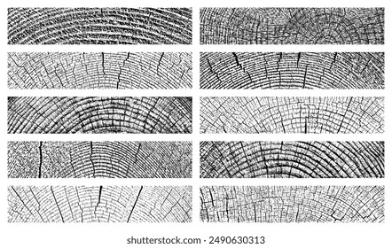 Conjunto de textura de madera en mal estado. Primer plano de madera. Corte transversal de anillos de árbol. Textura granulada negra sobre fondo blanco. Superposición de polvo con textura. Ilustración vectorial, EPS 10.