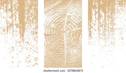 wood grain texture vector illustration background