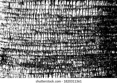 Wood grain vector texture. background.