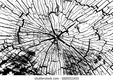 Wood grain vector texture. background.