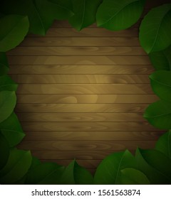 wood and green leaves background with empty space in the middle, shadowy wooden background and leaves , vector