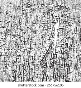 Wood grunge grainy overlay texture for your design. EPS10 vector.