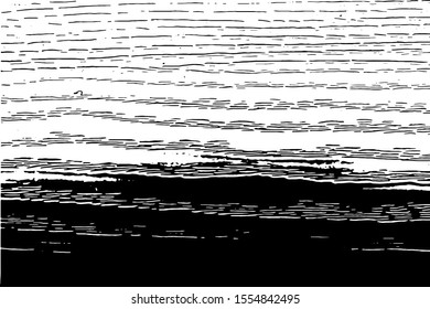 Wood grunge texture in black and white. Wooden background. Vector template. Grunge vector texture.