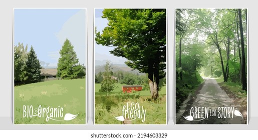 Wood landscape. Colorful nature scene
