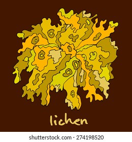 wood lichen