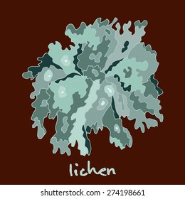 wood lichen