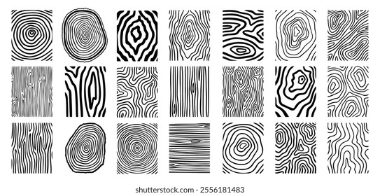 Wood lines texture material doodle hand drawn line set. Rings and circles tree trunk geometric curve, wave contour. Vector illustration