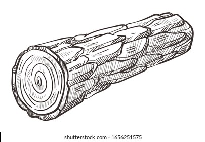 Wood log, wooden stump, tree trunk, single piece of chopped firewood laying with rough texture bark detailed drawing. Lumber industry and forestry hand drawn sketch illustration on white background.