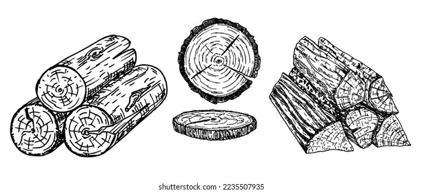 Leñadores de madera, ilustración de esbozo del vector del tronco. Materiales de madera dibujados a mano. Juego de sketch de leña. Anillos anuales sobre un árbol cortado. Colas de madera