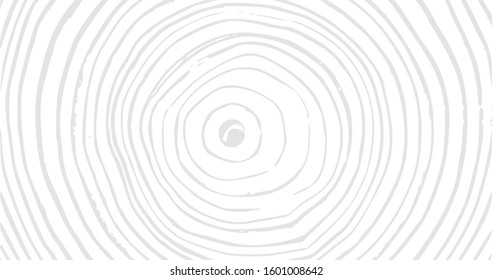 Wood material surface tree age rings texture. Wooden rings surface. 4K rings background. Vintage effect grit texture. Natural wooden board trace. Lumber surface
