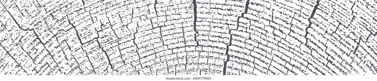 Sobrecarga de madera texturada. Los anillos de los árboles de sección transversal cortan la rebanada. Textura negra granulada sobre fondo blanco. Banner largo horizontal amplio. Elementos de diseño gruesos. Ilustración vectorial.