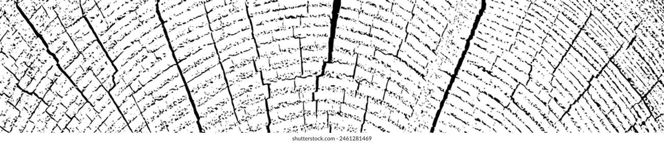 Wood overlay textured. Cross section tree rings cut slice. Black grainy texture on white background. Wide horizontal long banner. Grunge design elements. Vector illustration. EPS 10.