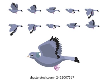 Wood Pigeon Flying Motion Animation Sequence Cartoon Vector Illustration