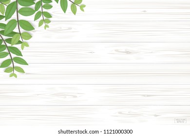 Wood plank pattern and texture with green leaves for natural  background. Abstract background for product presentation. Realistic vector illustration.