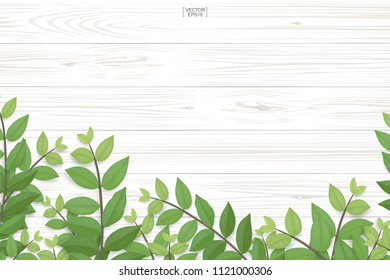 Wood plank pattern and texture with green leaves for natural  background. Abstract background for product presentation. Realistic vector illustration.