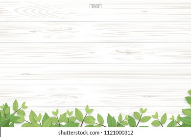 Wood plank pattern and texture with green leaves for natural  background. Abstract background for product presentation. Realistic vector illustration.