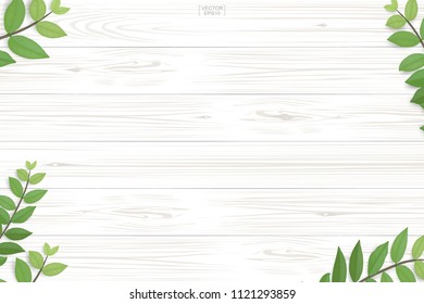 Wood plank pattern and texture with green leaves for natural  background. Abstract background for product presentation. Realistic vector illustration.