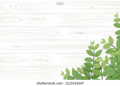 Wood plank pattern and texture with green leaves for natural  background. Abstract background for product presentation. Realistic vector illustration.