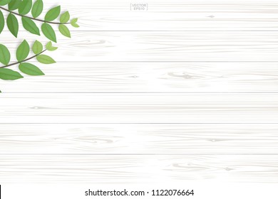 Wood plank pattern and texture with green leaves for natural  background. Abstract background for product presentation. Realistic vector illustration.