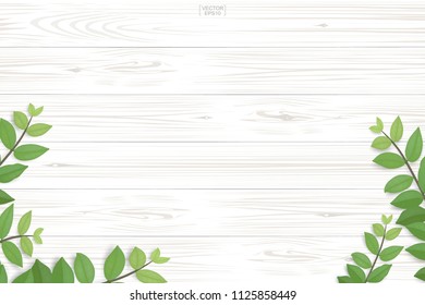 Wood plank pattern and texture with green leaves for natural  background. Abstract background for product presentation. Realistic vector illustration.