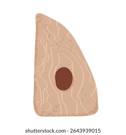 Ferramenta de costela de oleiros de madeira. Equipamento para cerâmica e argila cerâmica. Feito à mão e passatempo. Ilustração de vetor desenhada à mão sobre fundo branco.
