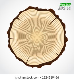 wood rings color vector illustration