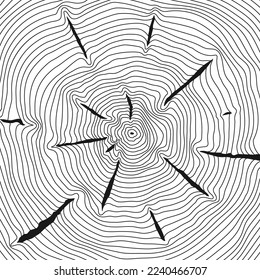 Wood rings pattern. Concentric tree linear texture