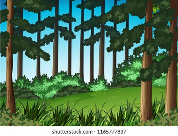 Wood scene landscape background illustration