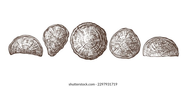Wood set, hand drawn texture pile. Vector engraving illustration, vintage collection