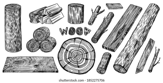 Wood set. Planks and logs, lumber and Cuts, Firewood in vintage style. Pieces of Tree. Vector illusion for signboard, labels, logo or banner. Campfire material. Engraved Hand drawn sketch.
