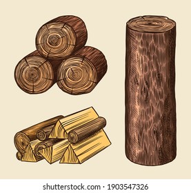 Wood set. Planks and logs, lumber and Cuts, Firewood in vintage style. Pieces of Tree. Vector illusion for signboard, labels, logo or banner. Campfire material. Engraved Hand drawn sketch.