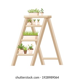 Wood shelving, ladder with potted plants, flowers in cartoon style isolated on white background. Florist, floral shop advertising, decoration. Gardening, seeding element.