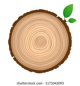 Wood Sign Icon Cross Section Of The Trunk With Tree Rings Vector