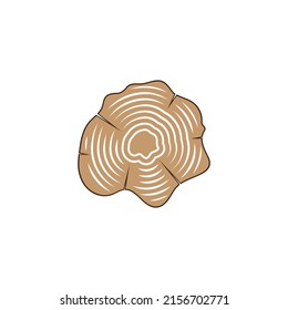 Wood sign icon, tree growth rings , logo icon design template.
