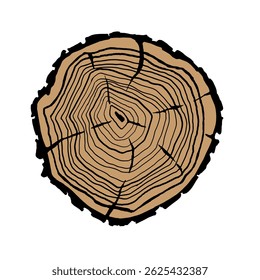 Wood slice icon vector. Wood rings illustration sign. Tree symbol. Sawmill logo.
