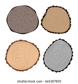 Wood slice texture tree circle cut raw material set detail plant years history textured rough forest vector illustration.