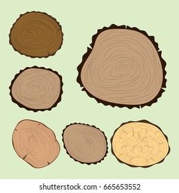 Wood slice texture tree circle cut raw material set detail plant years history textured rough forest vector illustration.