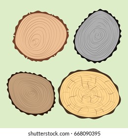 Wood slice texture tree circle cut raw material set detail plant years history textured rough forest vector illustration.