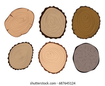 Wood slice texture tree circle cut raw material set detail plant years history textured rough forest vector illustration.