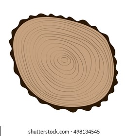 Wood slice texture wooden circle cut tree material
