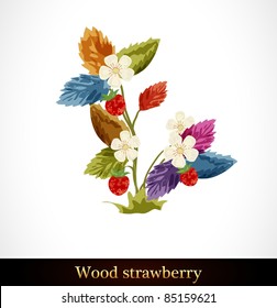 Wood Strawberry. Beautiful bright colors.
