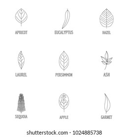 Wood structure icons set. Outline set of 9 wood structure vector icons for web isolated on white background