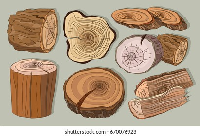 Wood stumps vector set
