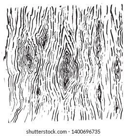 wood surface texture  drawn  line vector background