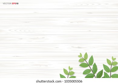 Wood texture background with green leaves. Realistic vector illustration.