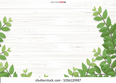 Wood texture background with green leaves. Realistic vector illustration.