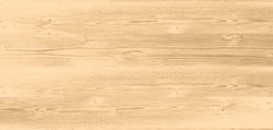 Wood Texture Background, Wood Planks. Grunge Wood, Painted Wooden Wall Pattern.